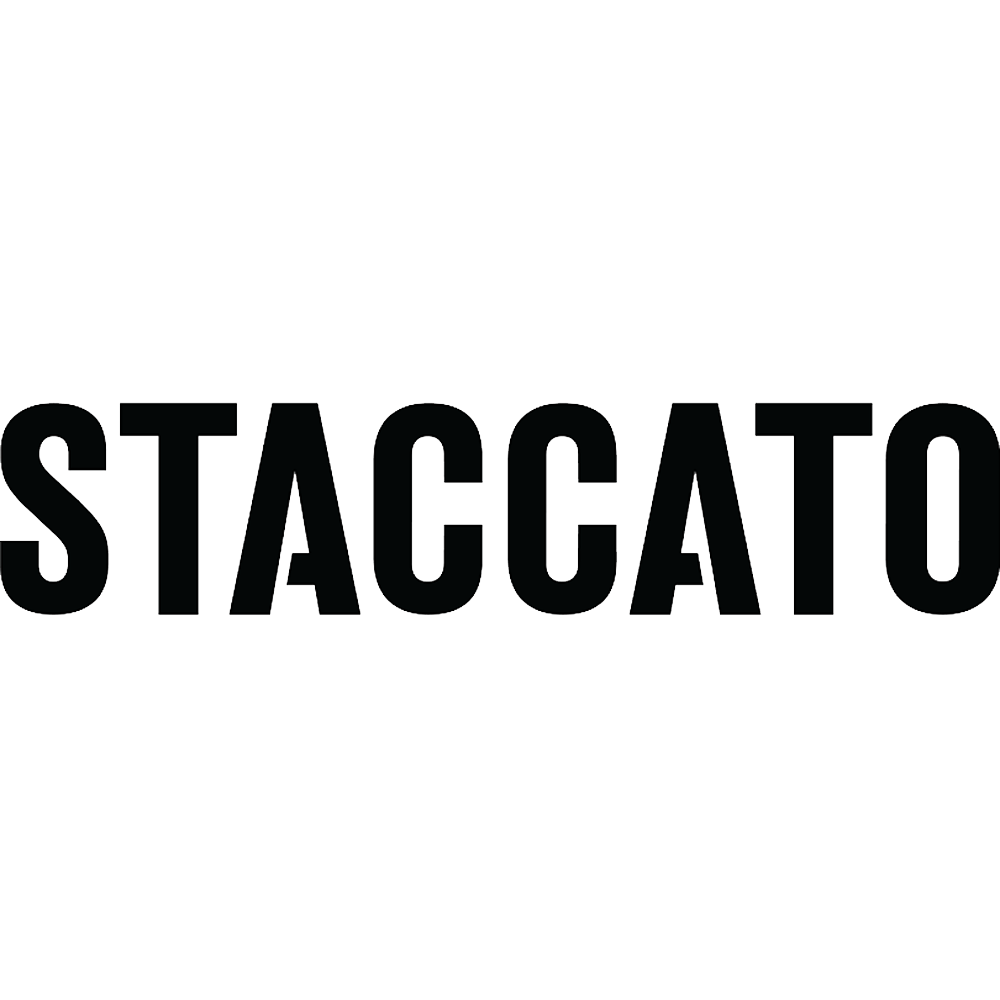 Statccato Best Concealed Carry Holsters for Staccato - KSG Armory